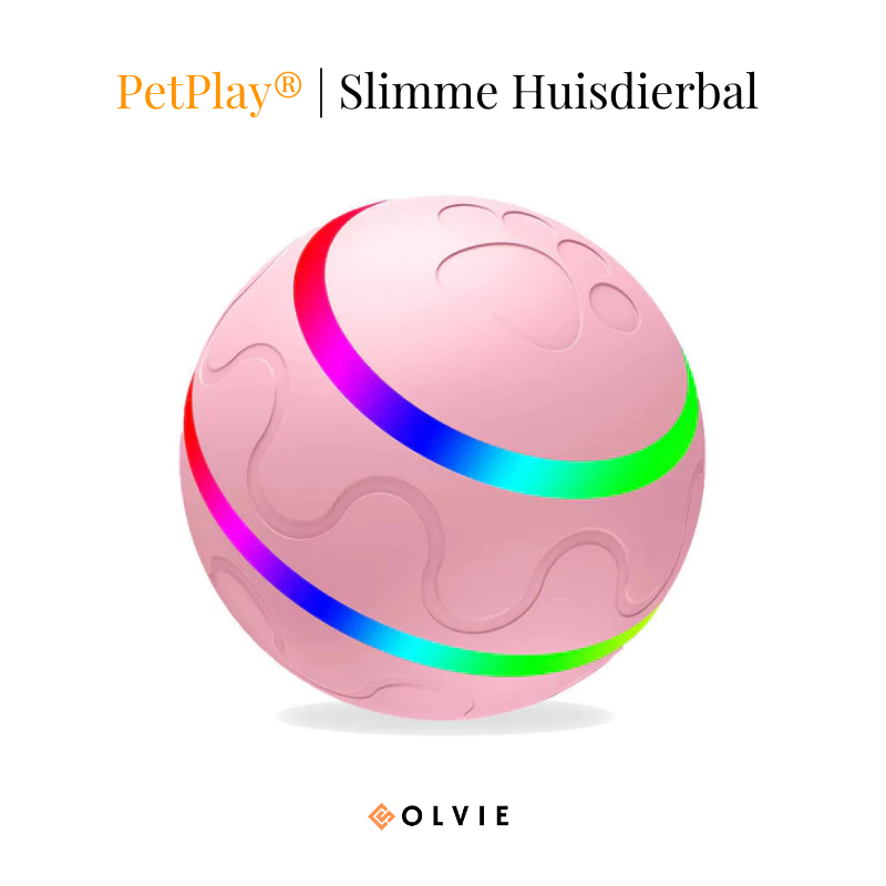 PetPlay® | Slimme Huisdierbal | 50% Korting
