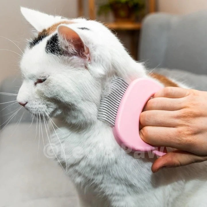 Haarverwijdering massagekam - katten